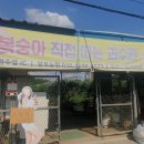 영욱농장 이미지