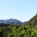 우복동마을 이미지