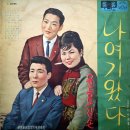 밤비에 젖은 여심 / 남미랑 (1966) 이미지