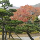 홍법사(부산) Daum카페