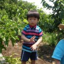 옥성농장 이미지