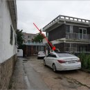 덕진-15 이미지