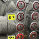 리젯네일