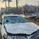 퇴계동 80-1 이미지