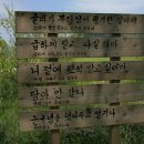 와보랑께박물관 이미지