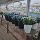 병화농장 이미지