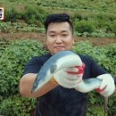 베풀 식당 네이버블로그