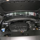 스파이썬팅제우스샵 이미지