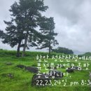 퓨전 플라멩코 옴팡 이미지