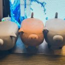 돈벼락김치삼겹살 이미지