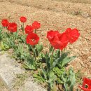 전북상회 이미지