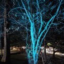 옥화자연담은펜션 | 옥화자연휴양림 꼭 가야 하는 이유 10가지 - 가족여행 완벽 가이드