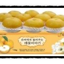 김종연농장 이미지