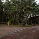 붉은오름자연휴양림2 이미지