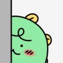 카카오PC 네이버블로그