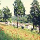 통영양지펜션 이미지