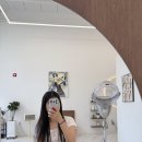 도노포레스타화도