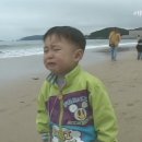 남바다 이미지