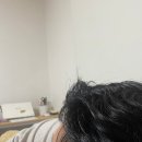 경기도 수원시 영통구 매탄로 매탄로51번길 네이버블로그