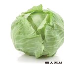 푸드조선 이미지