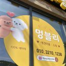 샘마루동물병원 이미지