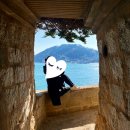 옥화마을 | 경남 거제 가볼만한곳 <매미성> 방문후기 거제도 여행코스 몽돌해수욕장 +짧은 옥화 문어 벽화마을 후기