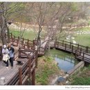 통큰딱다구리 이미지