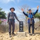 낙남정맥 마지막간(나밭고개~매리2교) 이미지