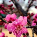 어머니의 마음 이미지