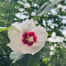 10월 2주차 네이버 불법사채 검색뉴스 리포트 이미지