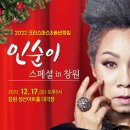 인순이 스페셜 콘서트 이미지