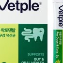 덴탈링크 이미지