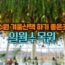 수원 일월수목원 겨울 입장료 할인 주차 후기
