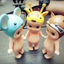 엔제리야 이미지