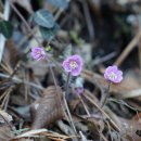 금산선착장 이미지