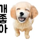 대박 게임랜드 이미지