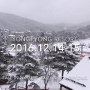 메가랩스 이미지