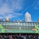 보노포스 이미지