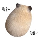 부평자동차병원 이미지