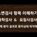 소변검사 결과 보면서 환자상태 파악해 보기(화학검사 & 요침사)#61 공개 이미지