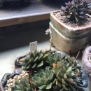 복길농장 이미지