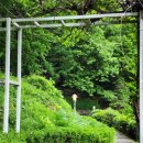 카페숨 - 중구 계백로 1712 | 카페숨