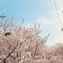 컴벤져스컴퓨터교습소 이미지