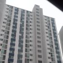 강남그린빌 앞 이미지