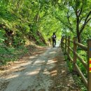 원주굽이길 8코스 흥원창길 이미지