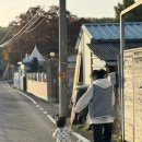 월오포레스트 이미지