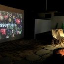 철이네 촌캉스 이미지