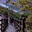 ♣순창군 용궐산(645m)하늘길과 요강바위 걷기[2024/11/14/] 이미지