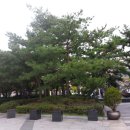 구로리공원 이미지