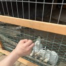 유포리목장 이미지